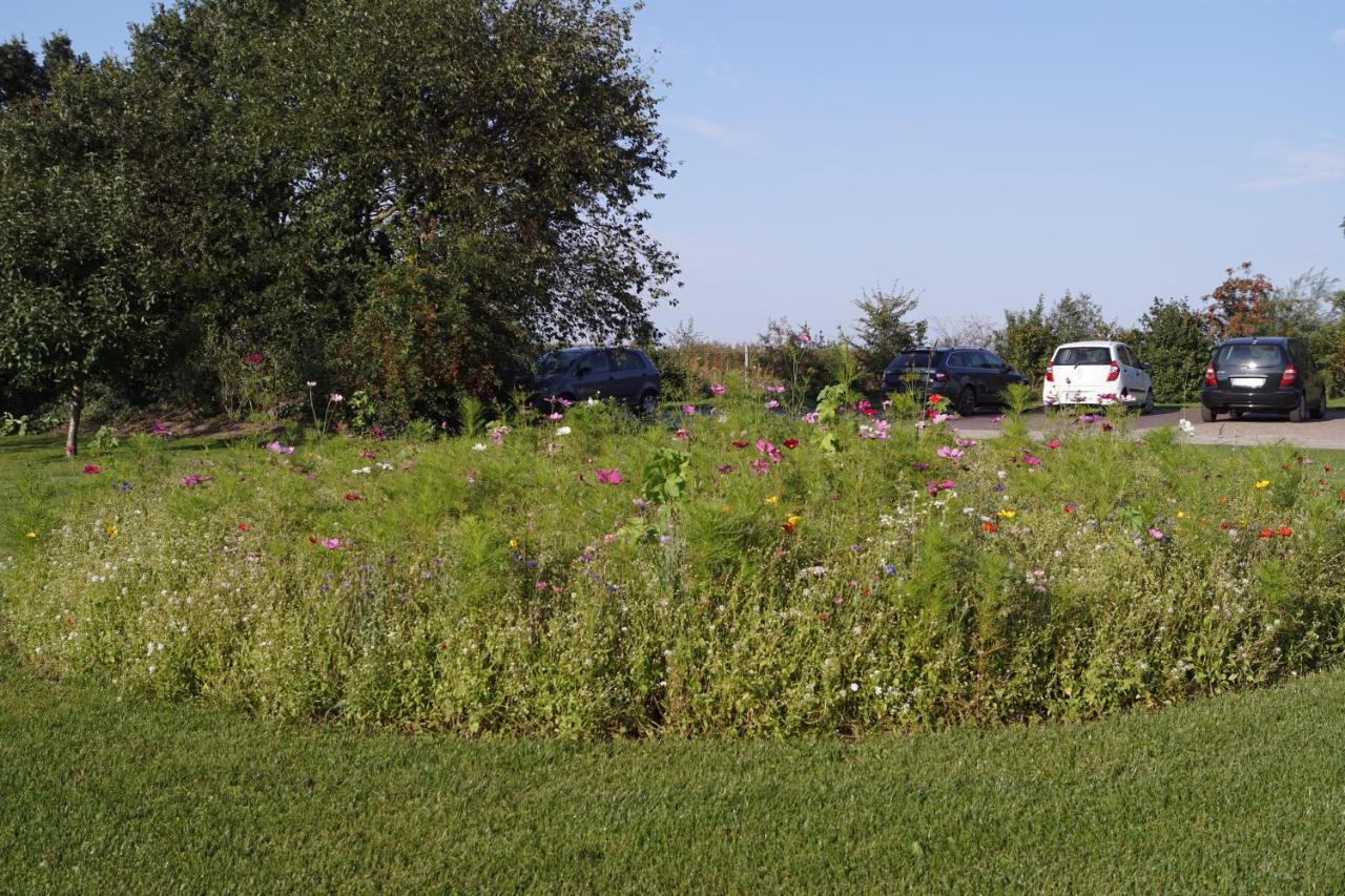 Ferienwohnung In Drentwede エクステリア 写真